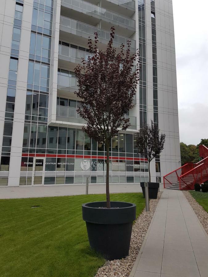 Apartament Towarowa 37 Poznaň Exteriér fotografie