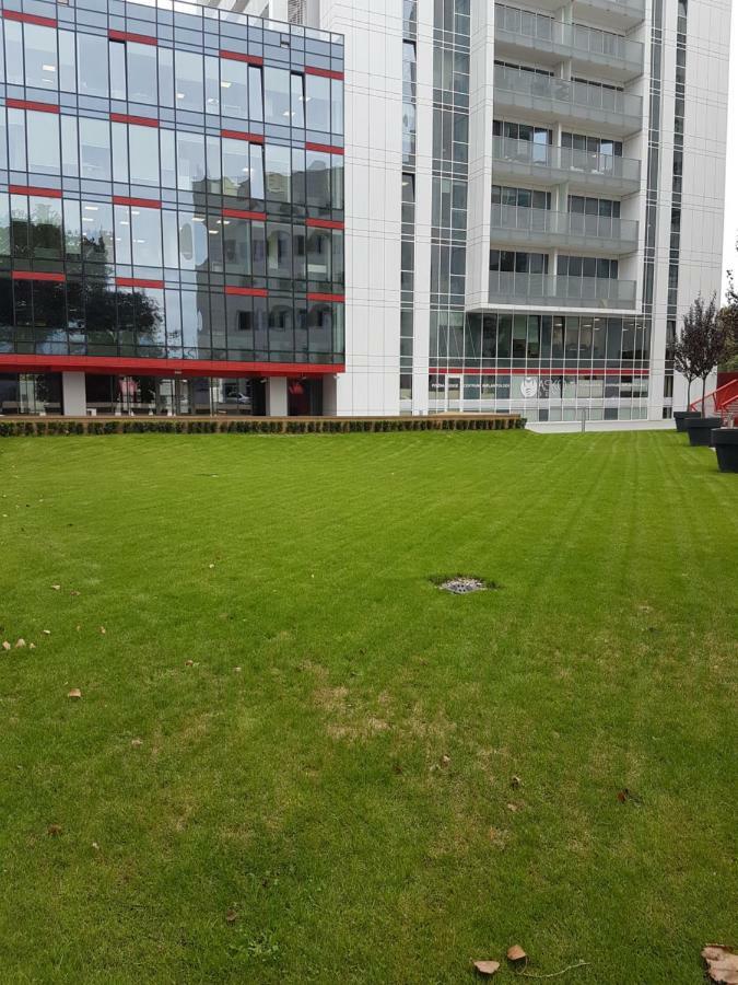 Apartament Towarowa 37 Poznaň Exteriér fotografie